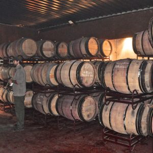 Tagus Valley Wineries Tour