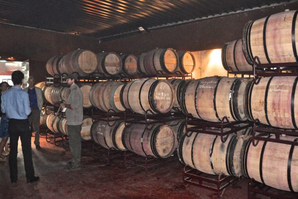 Tagus Valley Wineries Tour