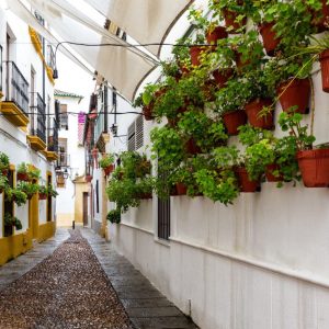 Córdoba Day Trip by High Speed Train