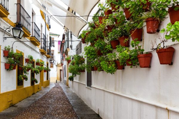 Córdoba Day Trip by High Speed Train